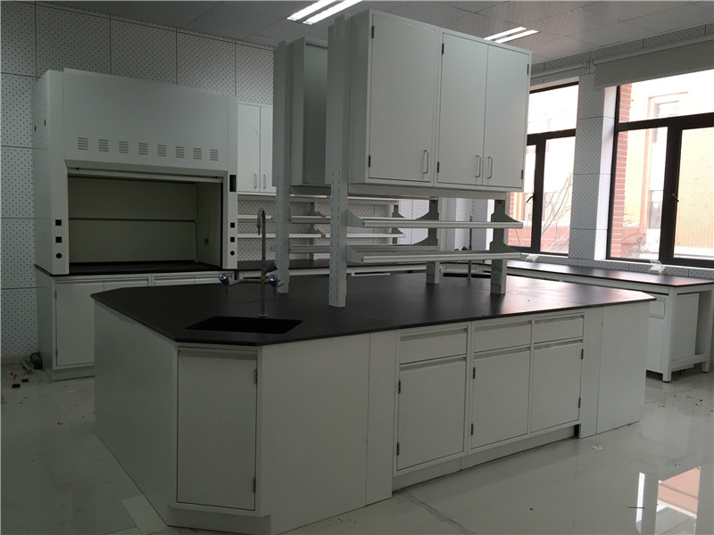 Central bench with fume hood